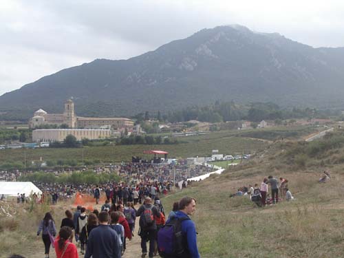 Imagen 050